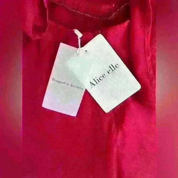 🔥 NWT Luxe Maxi Dress in Red, Size 8/S by renowned Australian designer Esmee - Picture 5 of 5